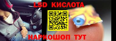 прущие грибы Гатчина