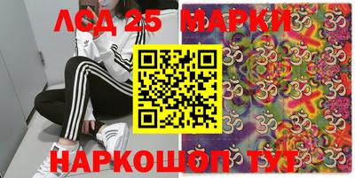 прущие грибы Гатчина