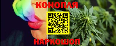 прущие грибы Гатчина