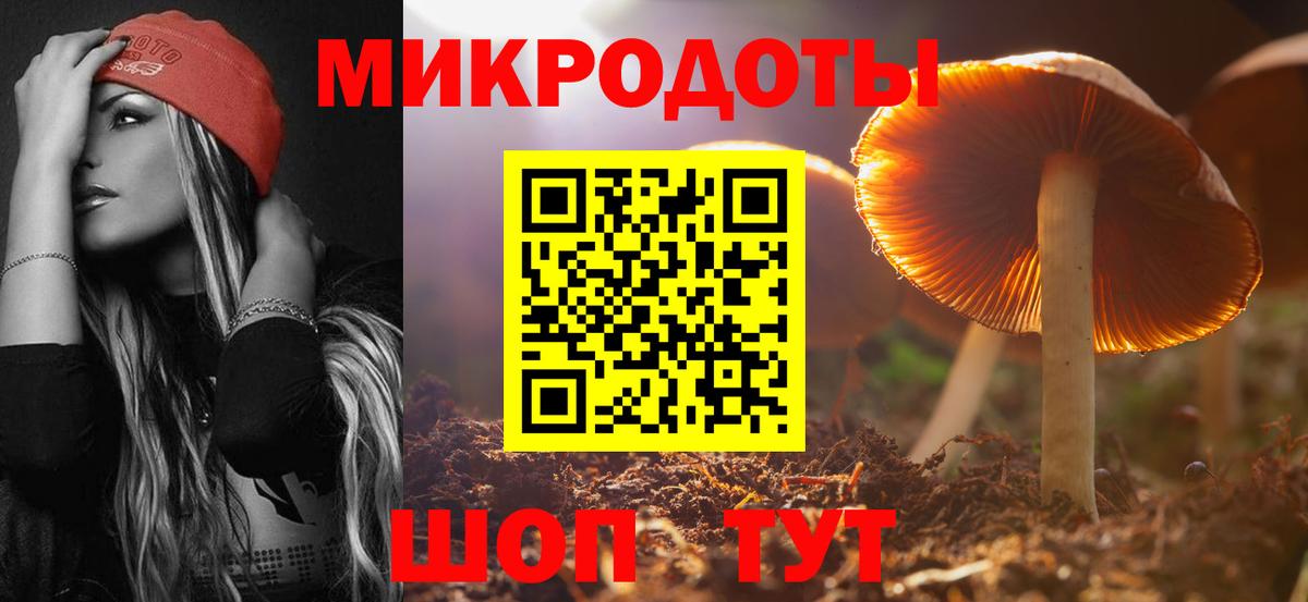Мытищи  Галлюциногенные грибы Psilocybine cubensis  Вход с VPN 